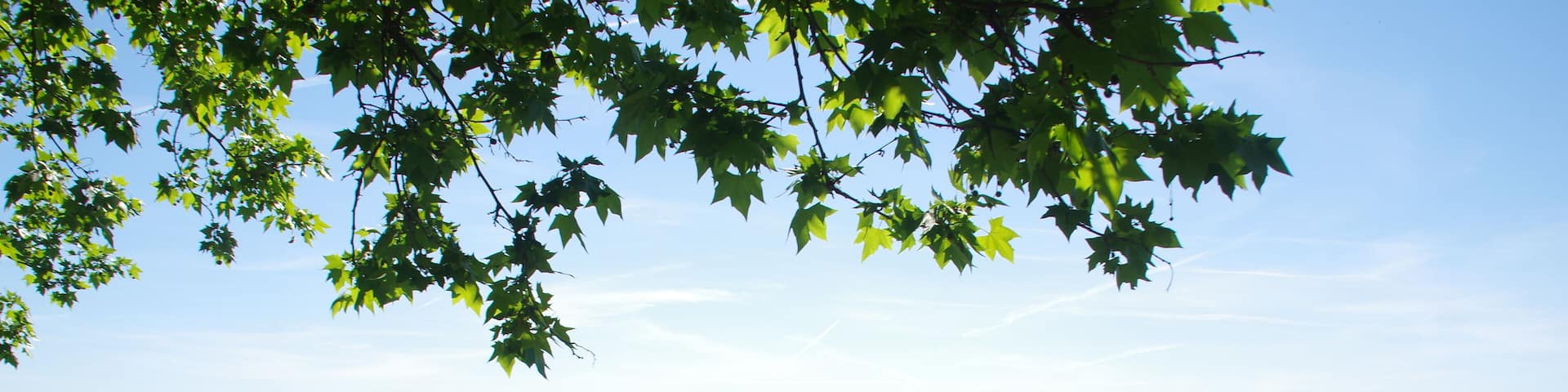 Âźs K3 SD Ă âŒ MADRID ARGANZUELA segĂșn KATRESYA