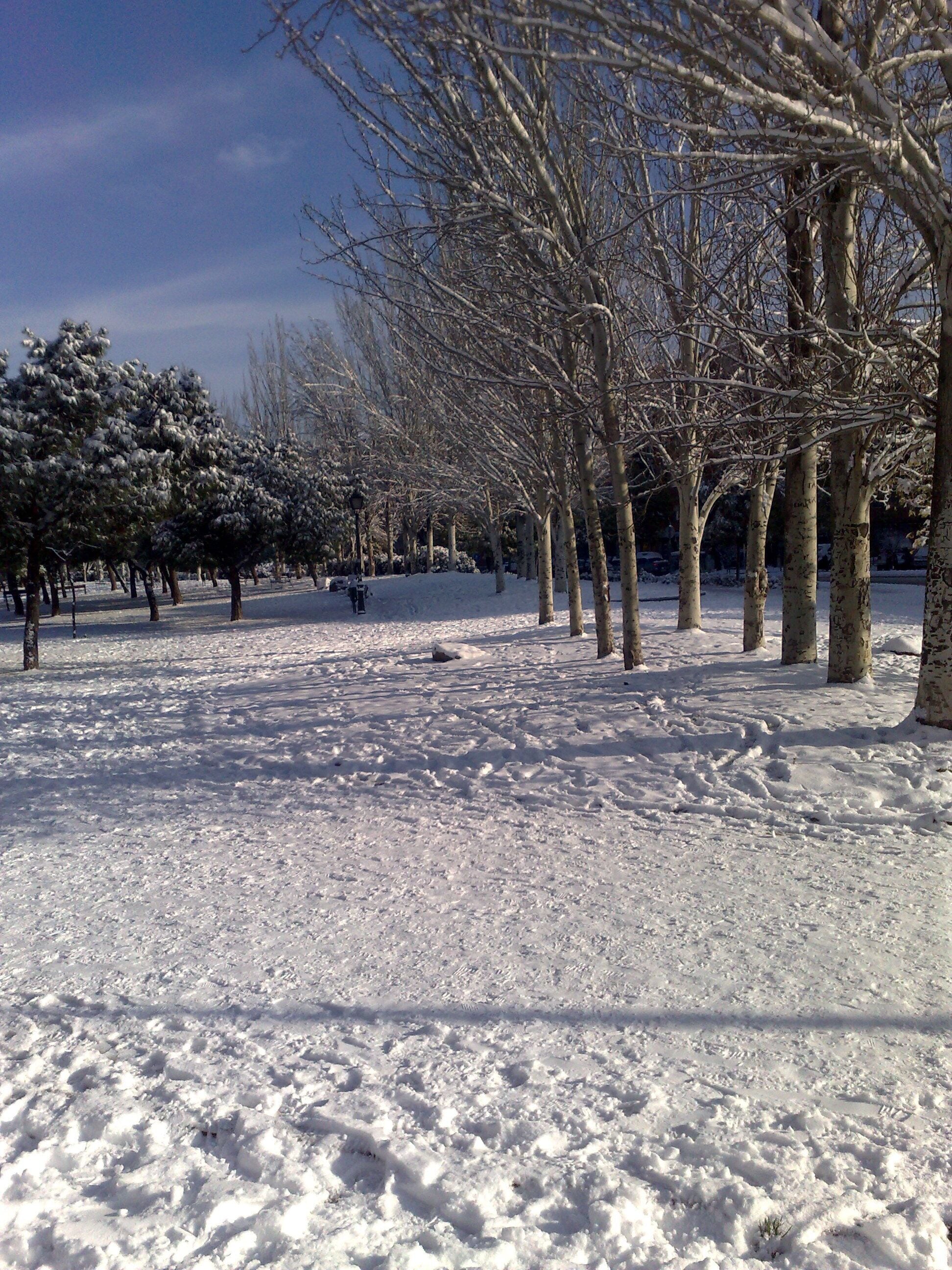 Nevada Madrid Enero 2k10