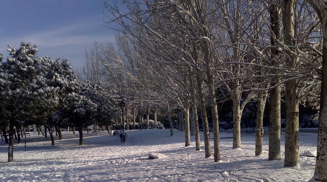 Nevada Madrid Enero 2k10