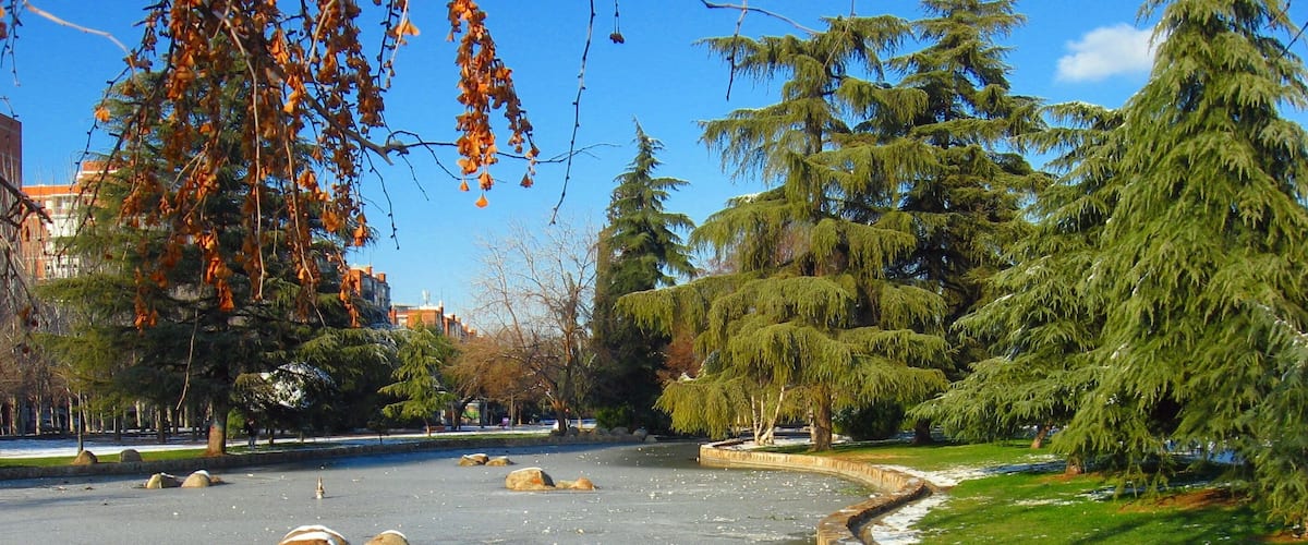 Nevada Madrid 2K9