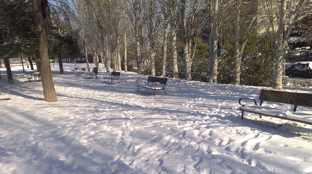 Nevada Madrid Enero 2k10