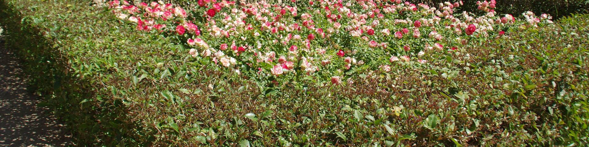 VIEW : ®'s / DiDi / RM / Ð 6K / ┼ : MADRID PANTEON HOMBRES ILUSTRES