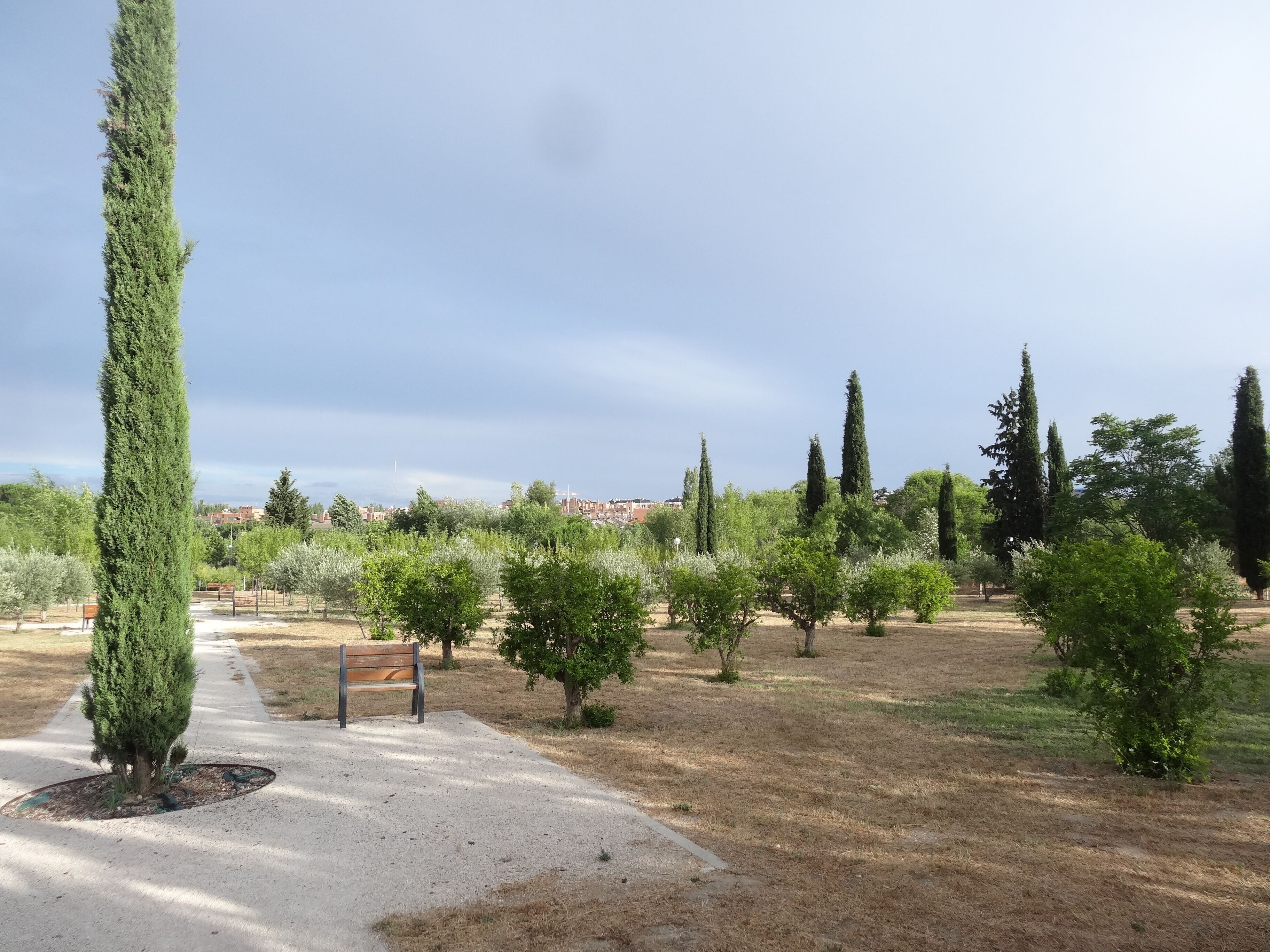 Parque Arroyo de Pozuelo, Madrid (juliol 2013)