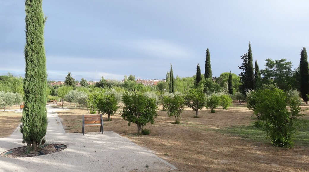Parque Arroyo de Pozuelo, Madrid (juliol 2013)