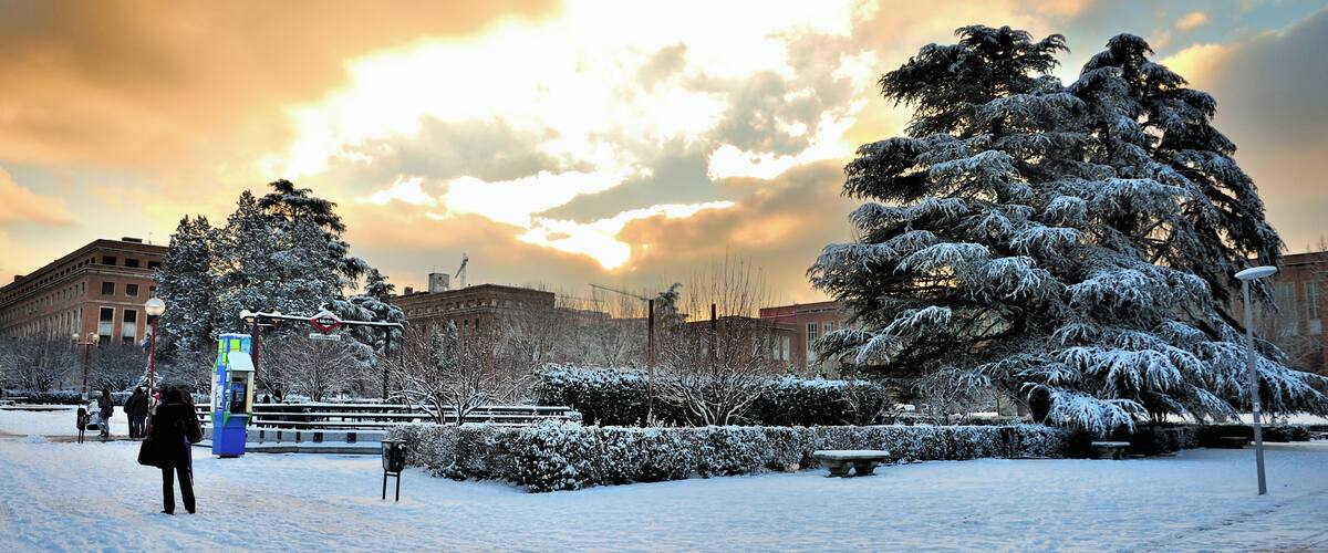 Cámara: Nikon D60 Exposición: 0,008 sec (1/125) Aperture: f/8.0 Lente: 16 mm Lente: 16.3 mm Velocidad ISO: 100 Tendencia de exposición: 0 EV Flash: No Flash