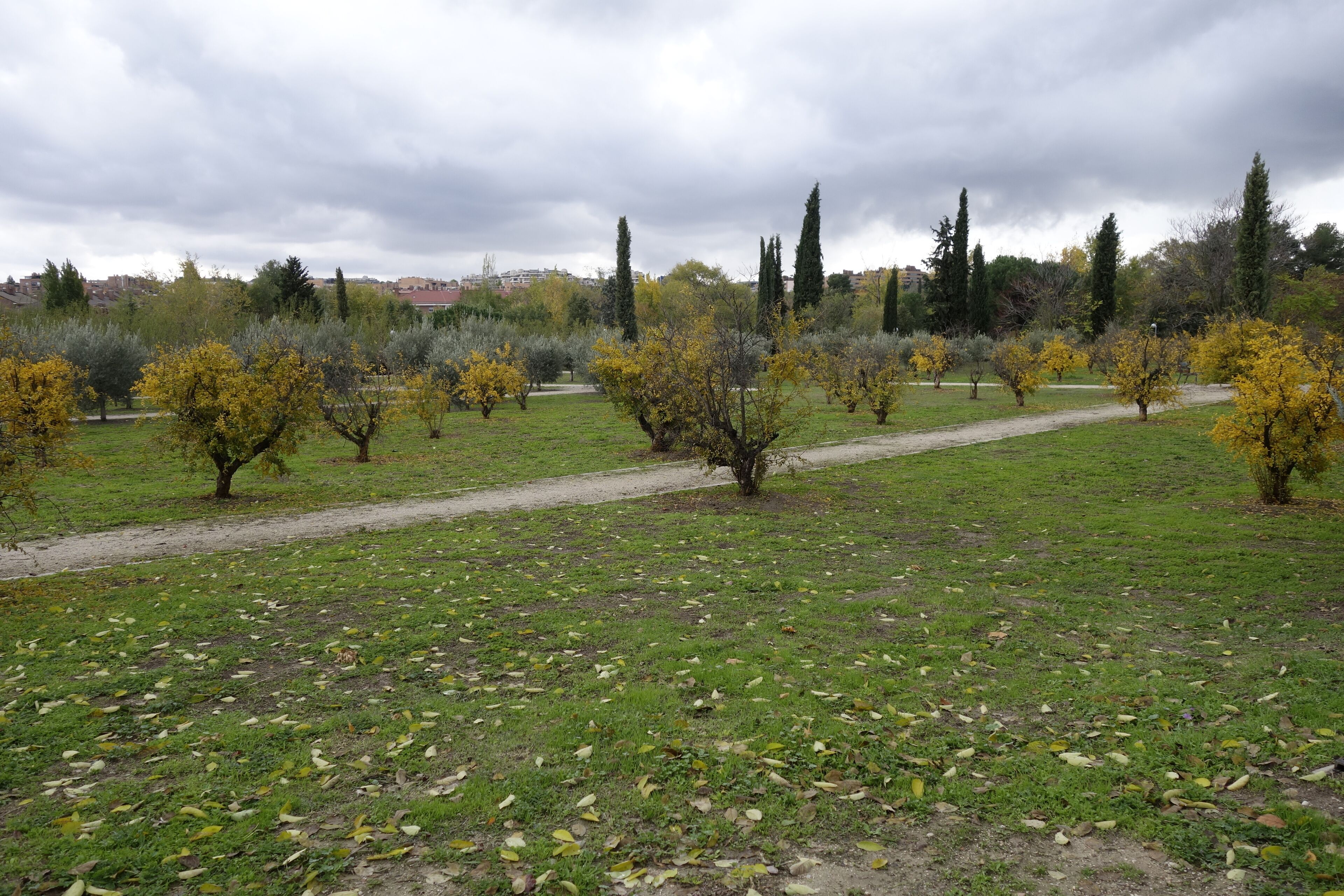 Parque lineal de Aravaca