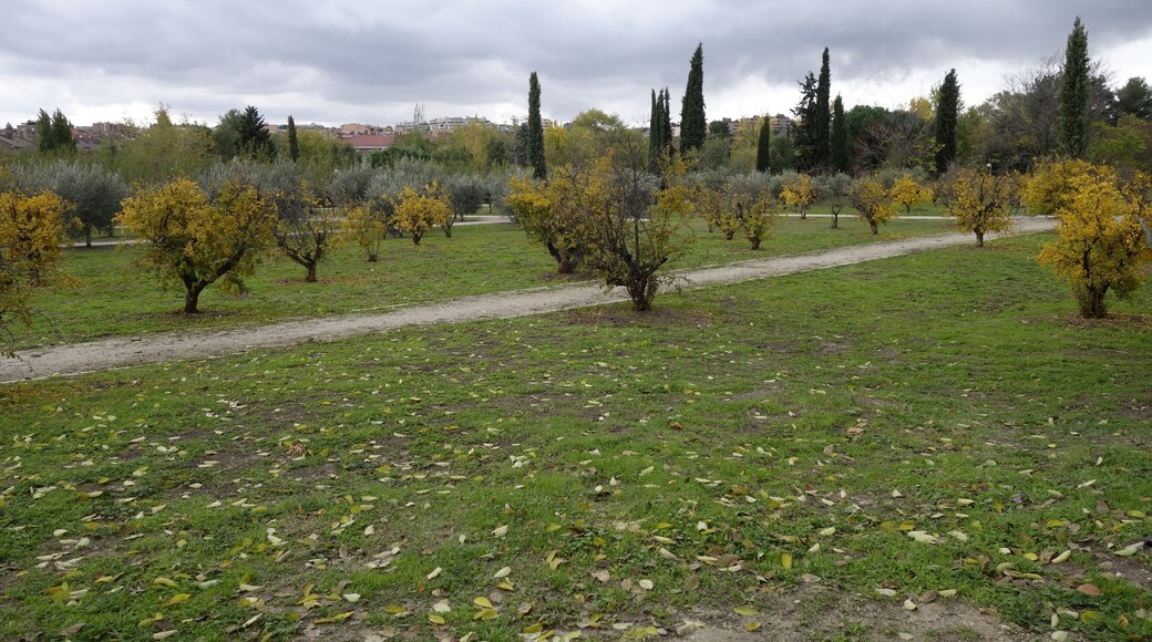 Parque lineal de Aravaca