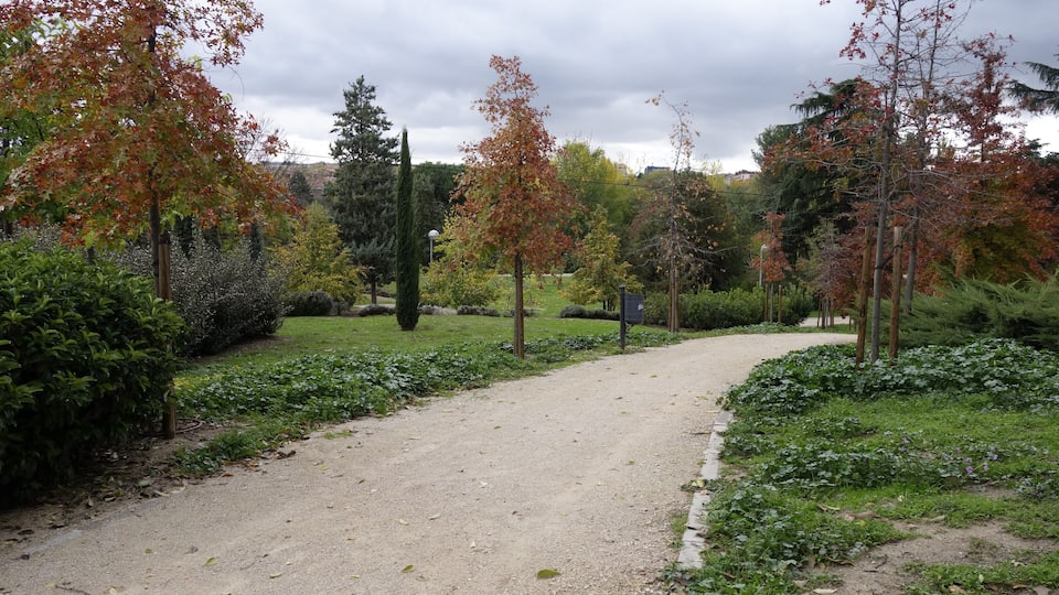 A gravel path in a park with autumn-colored trees and green shrubs.