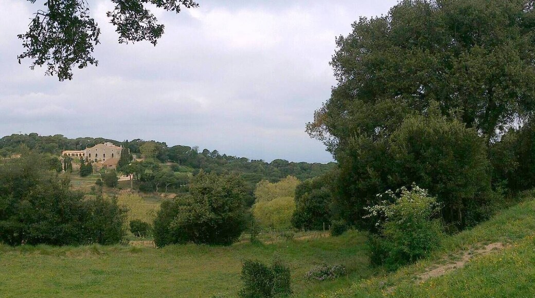 This is a photography of a Site of Community Importance in Spain with the ID: