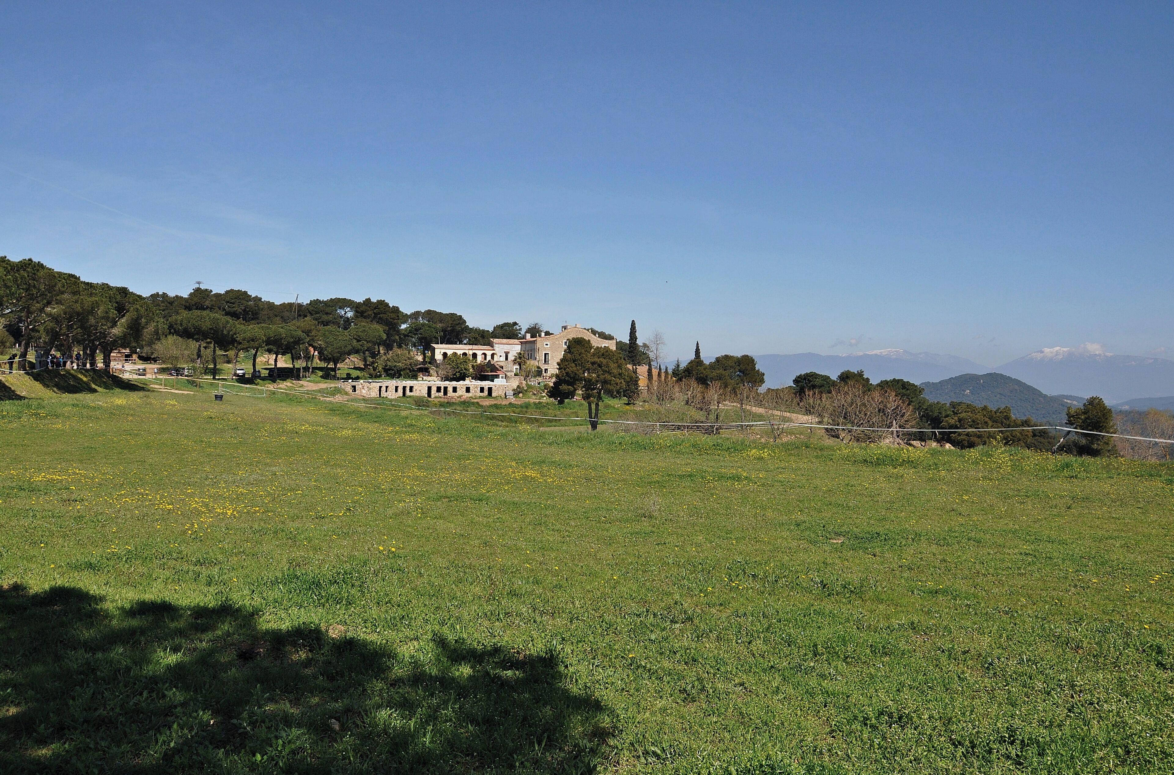 A grassy field with a historic building and trees in the background.