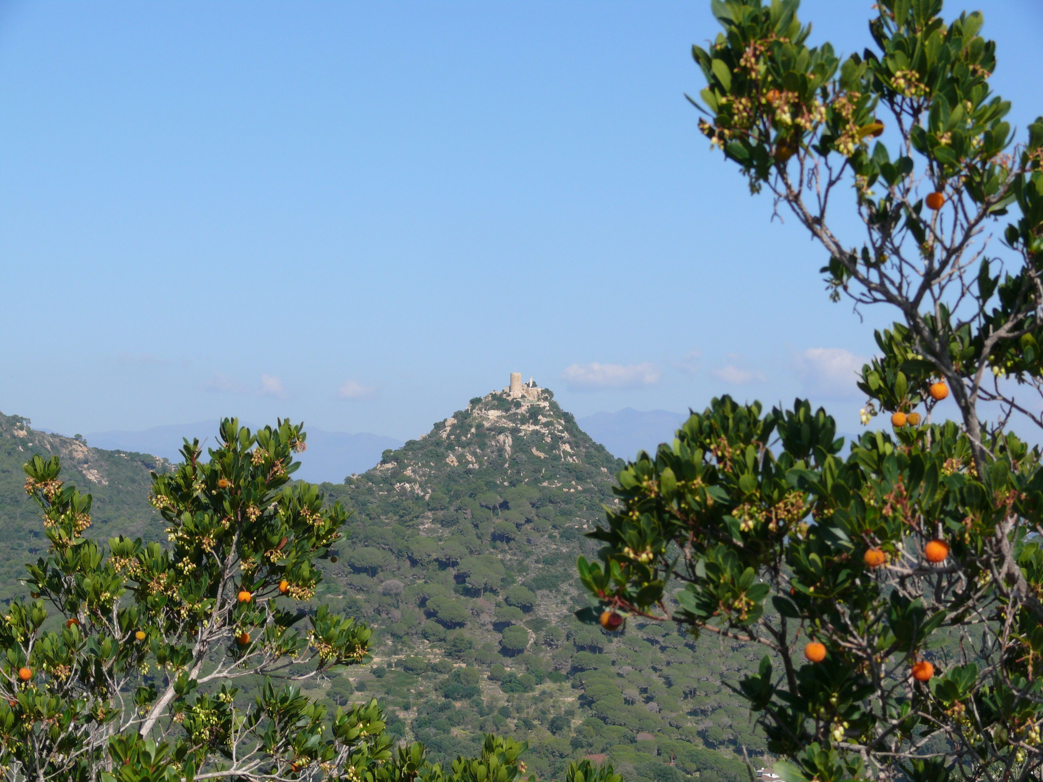 Castell de Burriac (Cabrera de Mar)