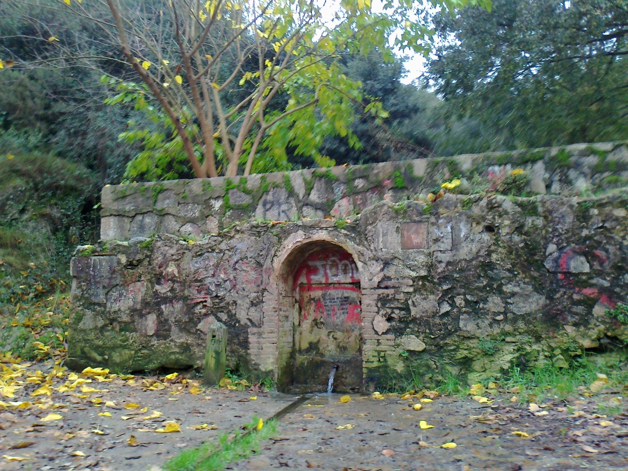 Font Muguera en Torre Baro