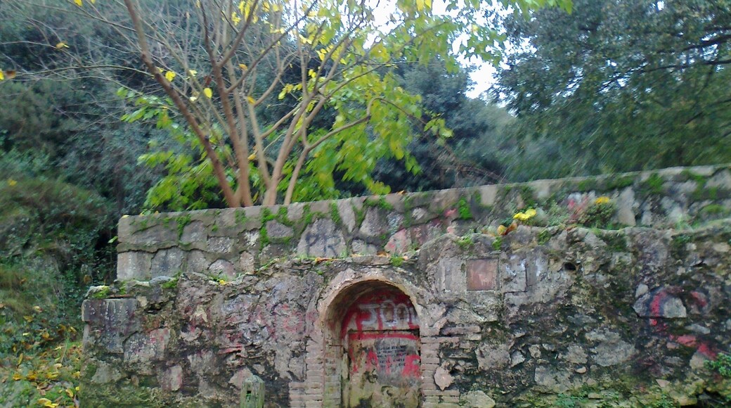 Font Muguera en Torre Baro