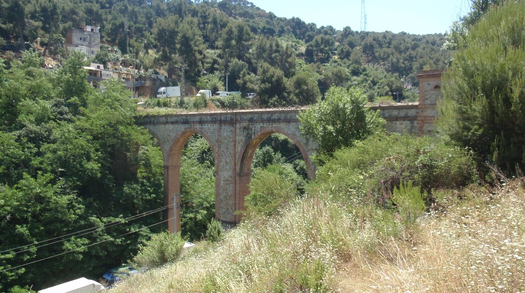 Bridge work of six arches that crosses the valley of the river of the «Torre Vella» in the neighbourhood of Torre Baró de Barcelona. Made of brick masonry and irregular masonry, was built in 1825 as part of the channel that carried the water from «Riu Sec» (Barbera Vallés) to the «Torre de l'Aigua» (Water Tower) in the neighbourhood of «Trinitat Nova» de Barcelona . Currently is deprecated.