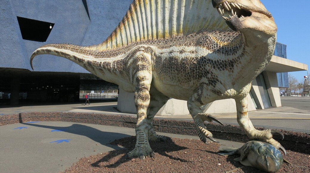 Museu Blau (Barcelona)