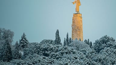 Una estatua en una columna alta, rodeada de árboles cubiertos de nieve.