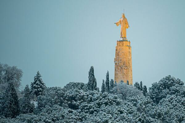 Una estatua en una columna alta, rodeada de árboles cubiertos de nieve.