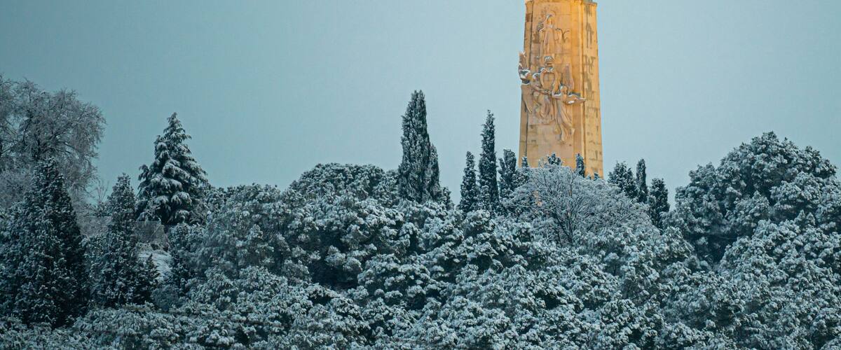 A statue on a tall column with snow-covered trees around it.