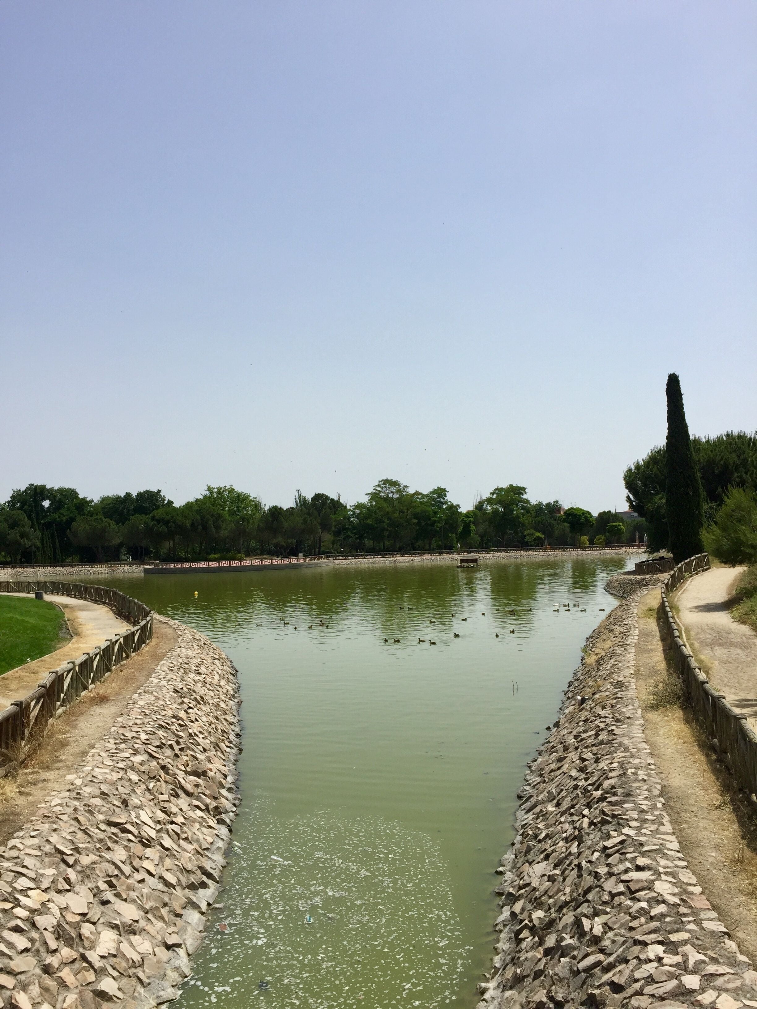 Un canal con patos nadando, rodeado de muros de piedra y follaje.