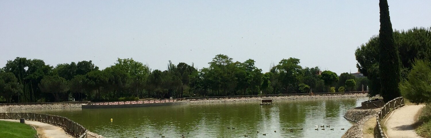 Un canal con patos nadando, rodeado de muros de piedra y follaje.