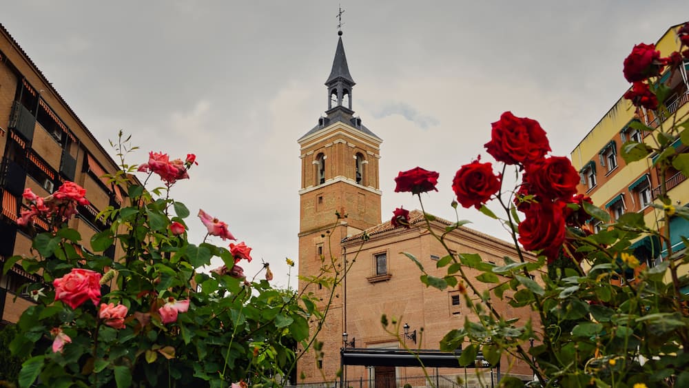 A church with a bell tower, surrounded by rose bushes.