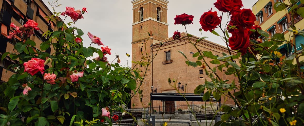 A church with a bell tower, surrounded by rose bushes.