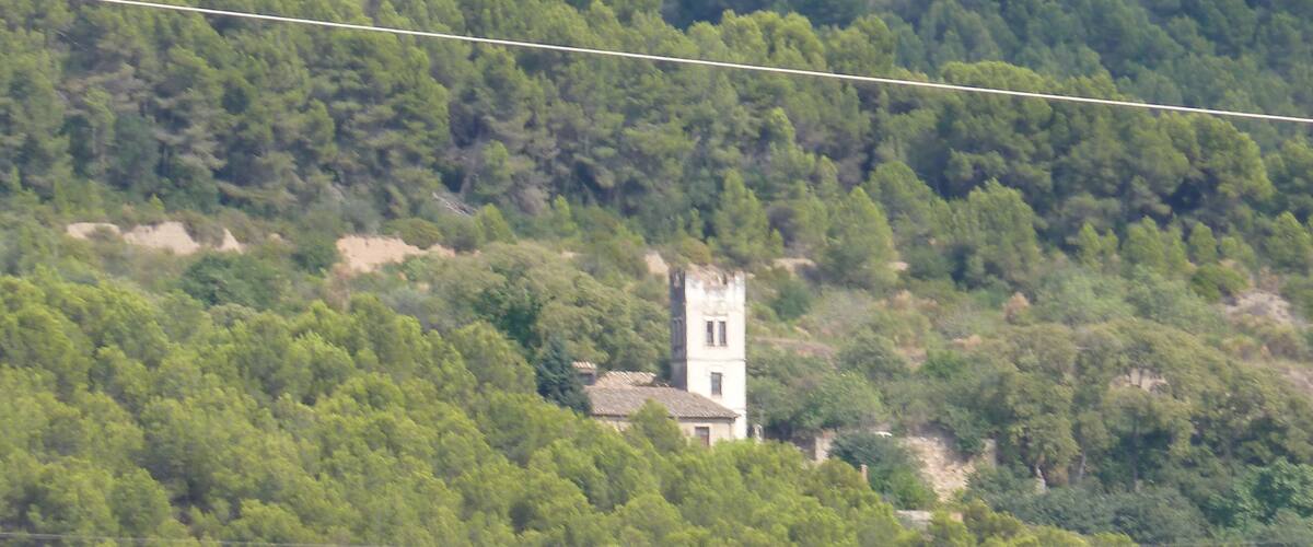 A tower surrounded by dense green forest.