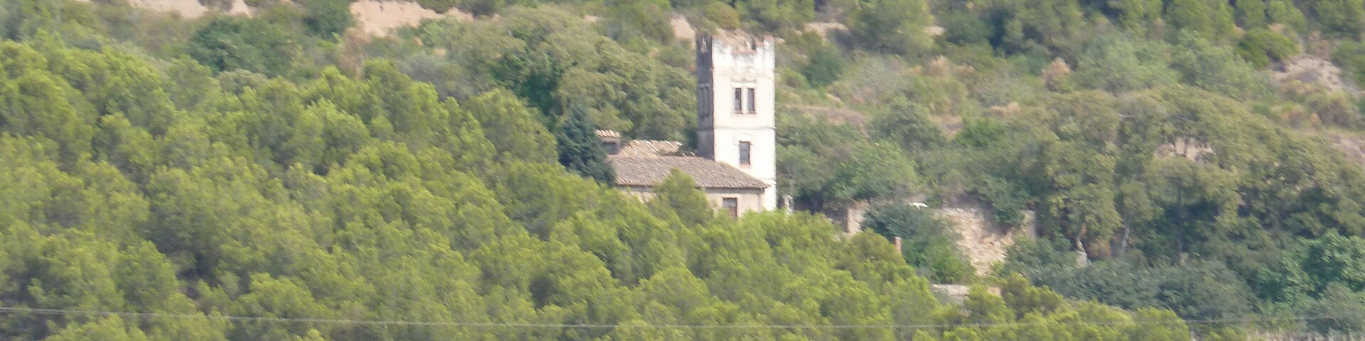 A tower surrounded by dense green forest.