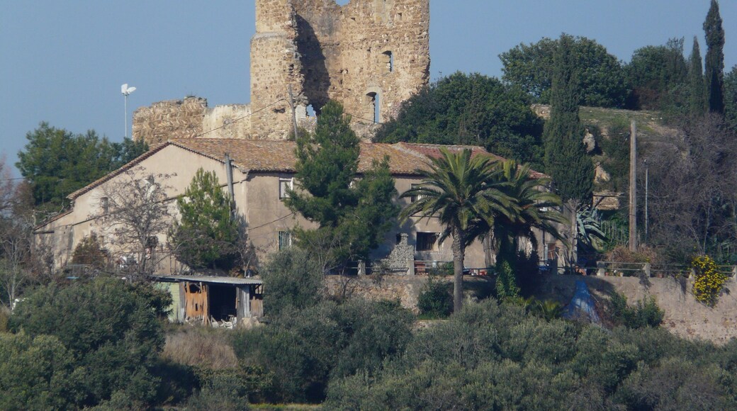 Can Graner (Molins de Rei)