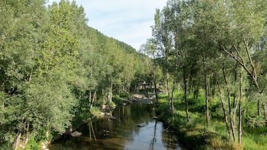 Un río serpentea por un valle boscoso, con árboles frondosos y rocas a lo largo de las orillas.