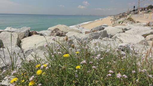 This is a a photo of a beach in Catalonia, Spain, with id:
