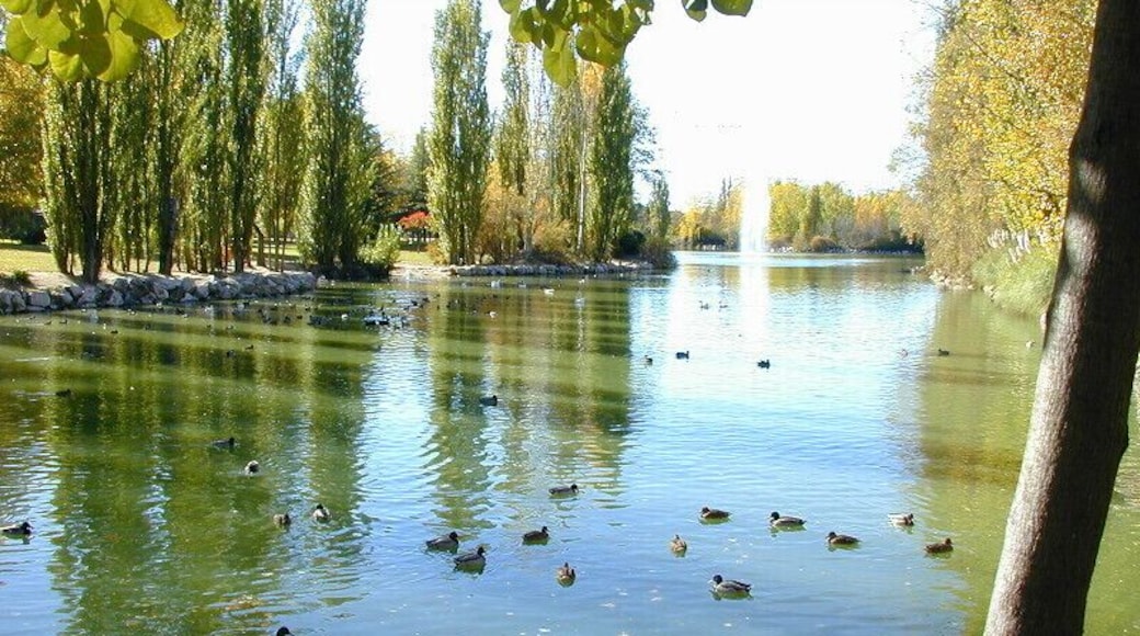 Natural Park "El Soto" - View of the lake from the East header.
