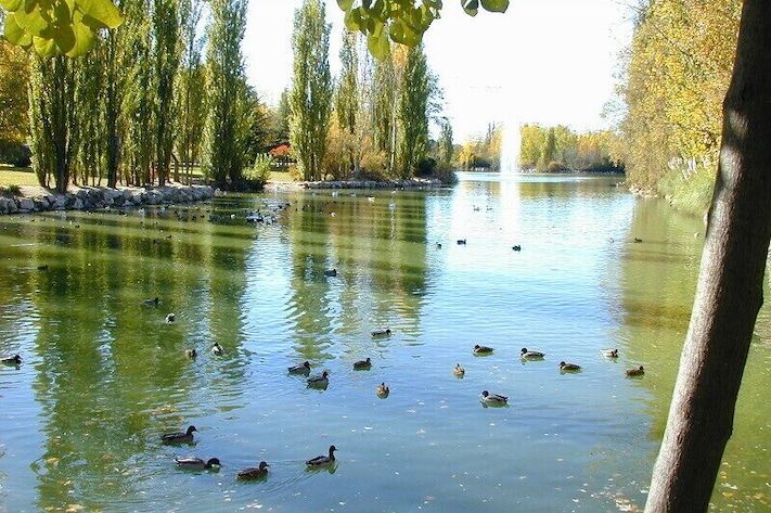 Natural Park "El Soto" - View of the lake from the East header.