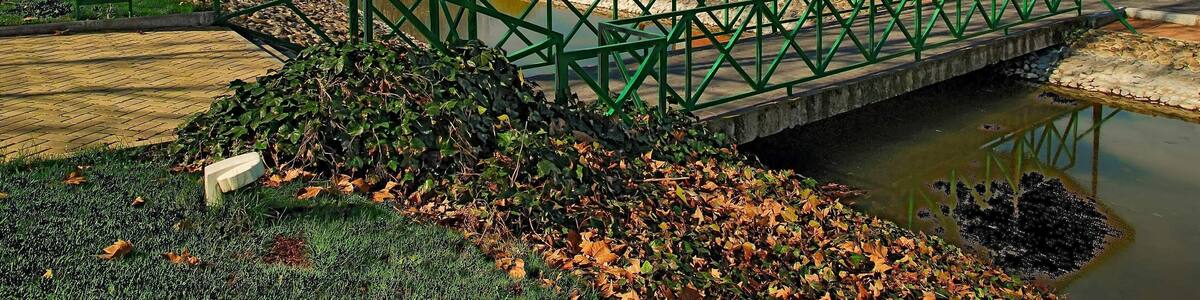 Parque de las Minas - Pozuelo de Alarcon (Madrid, España) - 1 Marzo 2008 - HDR de 3 disparos horquillados 1 paso de exposicion, combinados con Dynamic Photo HDR y editado con Photoshop CS2 Las Minas Park, at Pozuelo de Alarcon - Madrid (Spain) - Mar 1st 2008 - HDR from 3 shots, bracketed 1 exposure stop, combined with Dynamic Photo HDR and edited in Photoshop CS2