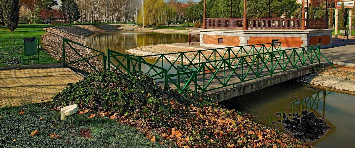 Parque de las Minas - Pozuelo de Alarcon (Madrid, España) - 1 Marzo 2008 - HDR de 3 disparos horquillados 1 paso de exposicion, combinados con Dynamic Photo HDR y editado con Photoshop CS2 Las Minas Park, at Pozuelo de Alarcon - Madrid (Spain) - Mar 1st 2008 - HDR from 3 shots, bracketed 1 exposure stop, combined with Dynamic Photo HDR and edited in Photoshop CS2