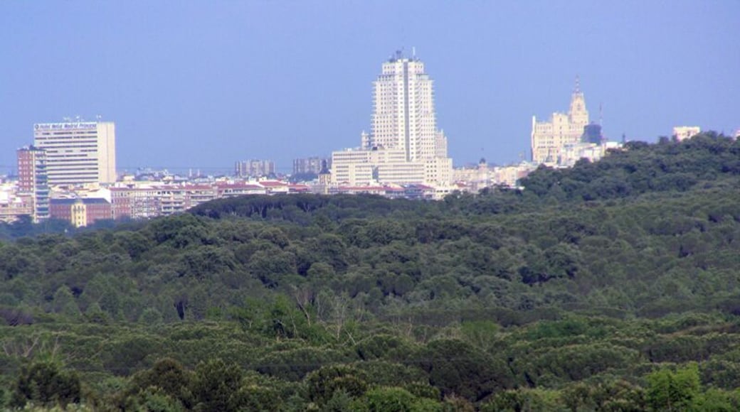Casa de Campo. In the background the Tower of Madrid