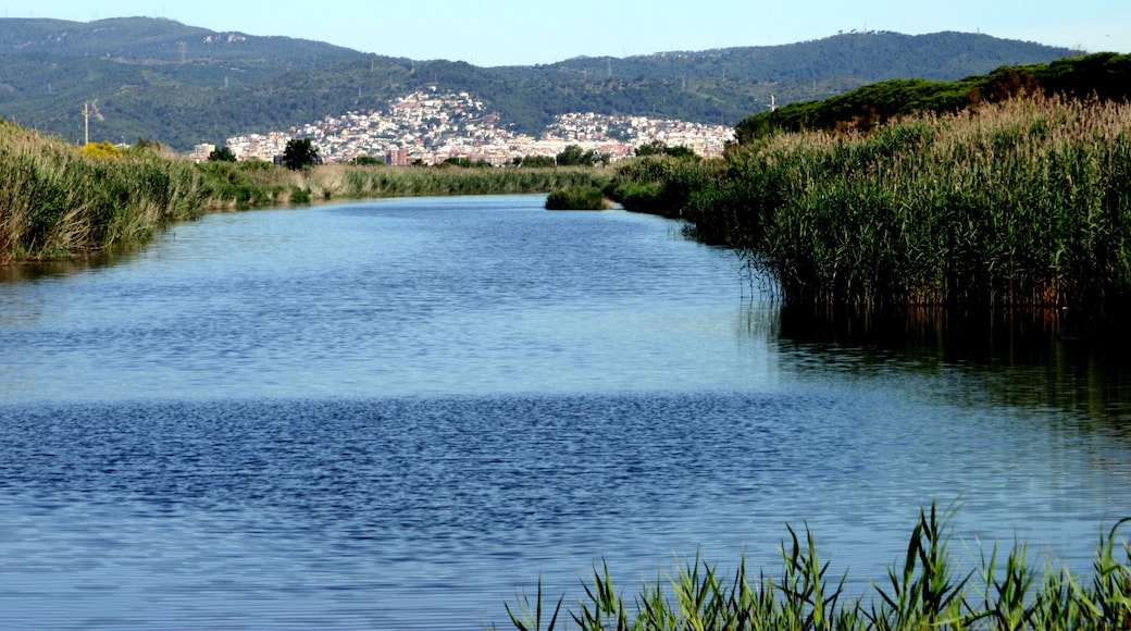 El Prat de Llobregat