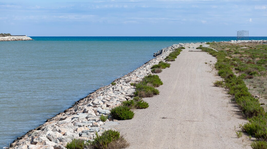 El Prat de Llobregat