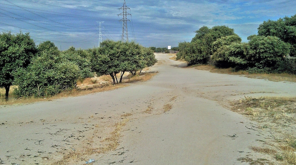 Soto de Viñuelas 1 (ruta Daganzo-Narros)