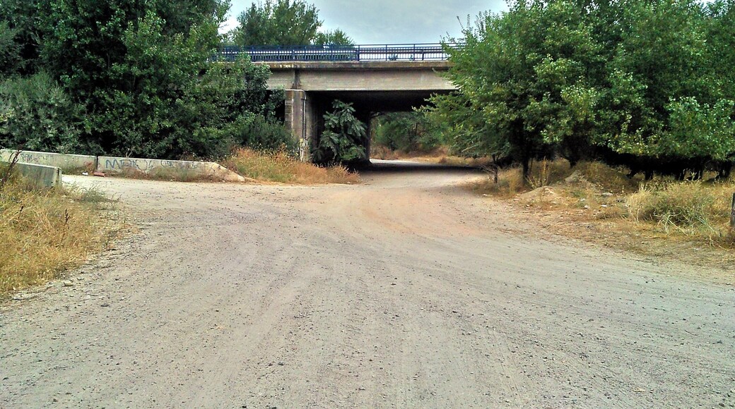 Paso puente N-I (ruta Daganzo-Narros)