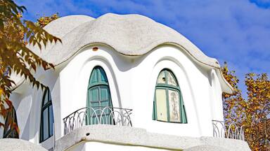 Un edificio blanco con ventanas verdes y techo curvo.