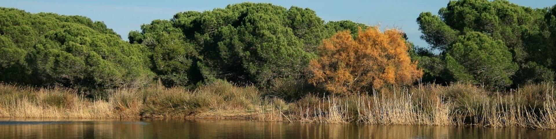 Espai Natural del Remolar-Filipines