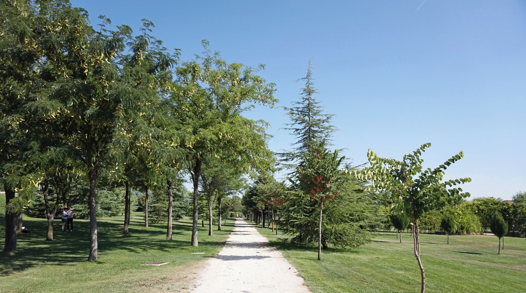 A path in Parque de Europa in Torrejón de Ardoz, Madrid.