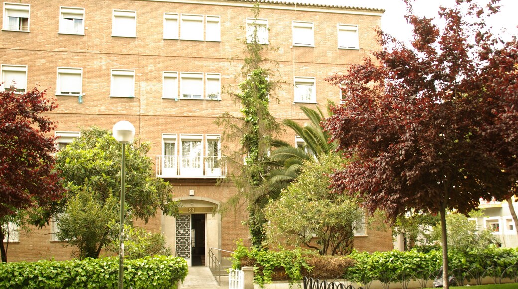 ® S.D. MADRID PLAZA DE SAN AMARO_PARROQUIA