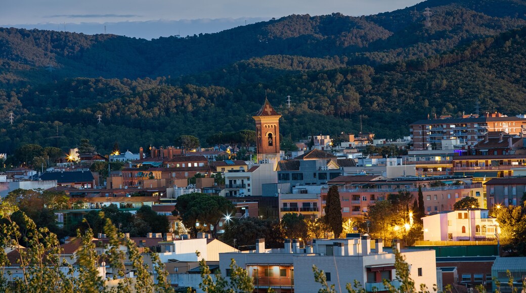 Cerdanyola del Valles