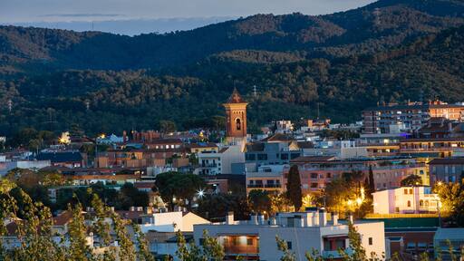 Cerdanyola del Valles