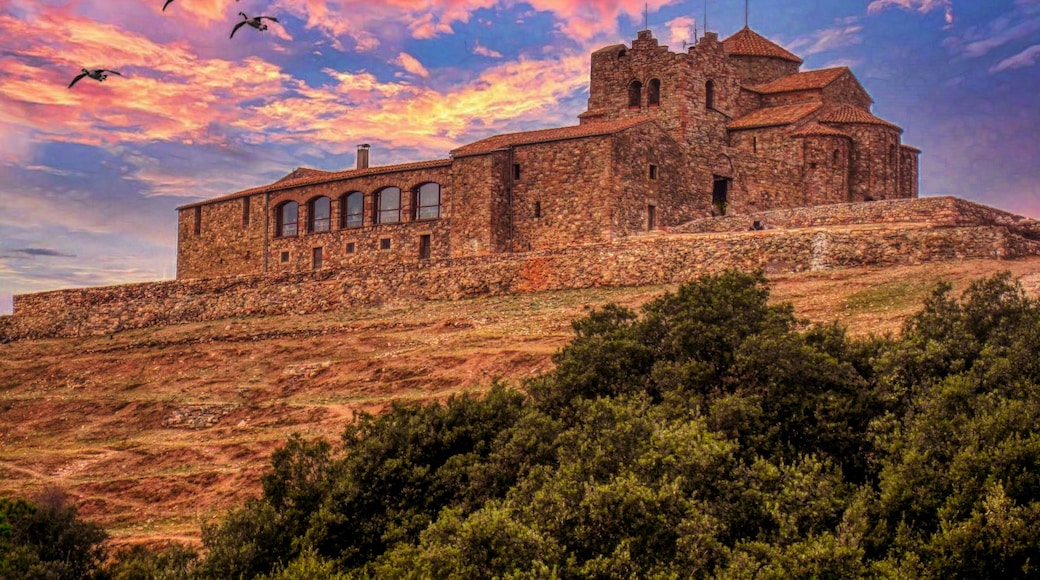 Cerdanyola del Valles