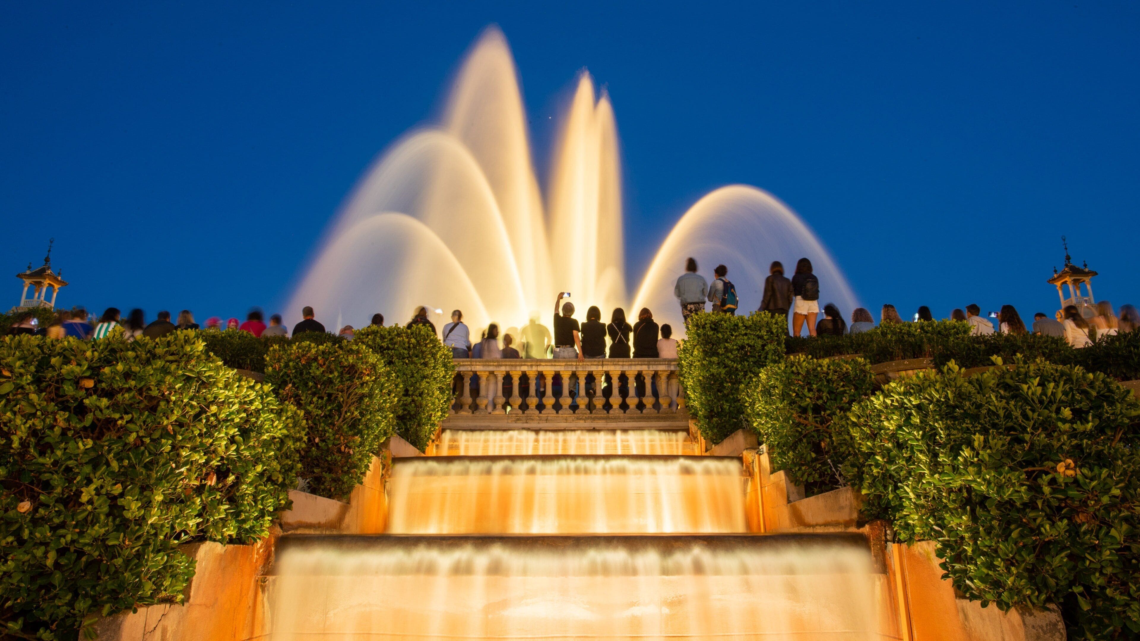 Sants-Montjuïc featuring night scenes and a fountain as well as a small group of people