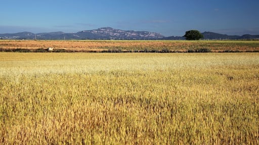 Mollet del Vallès (Barcelona, Spain)