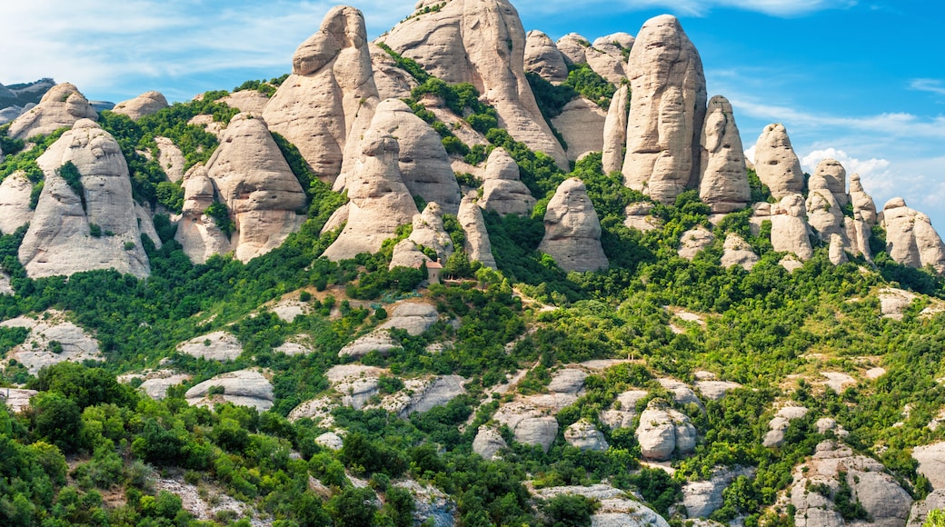 Sant Andreu de la Barca